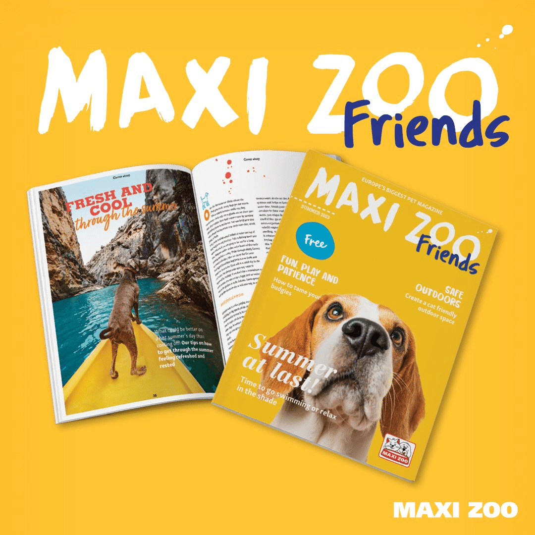 Maxi Zoo Friends Bray Retail Park